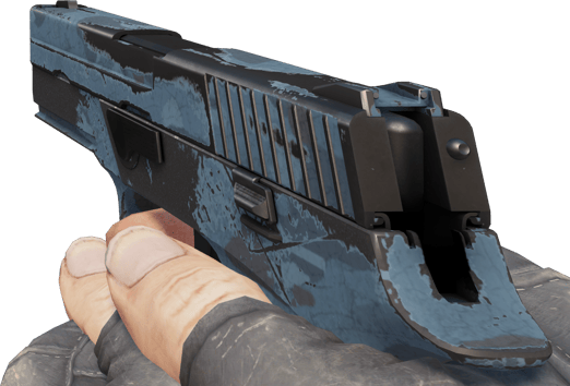 Preview image 3 of P250 | Forest Night (かなり摩耗)