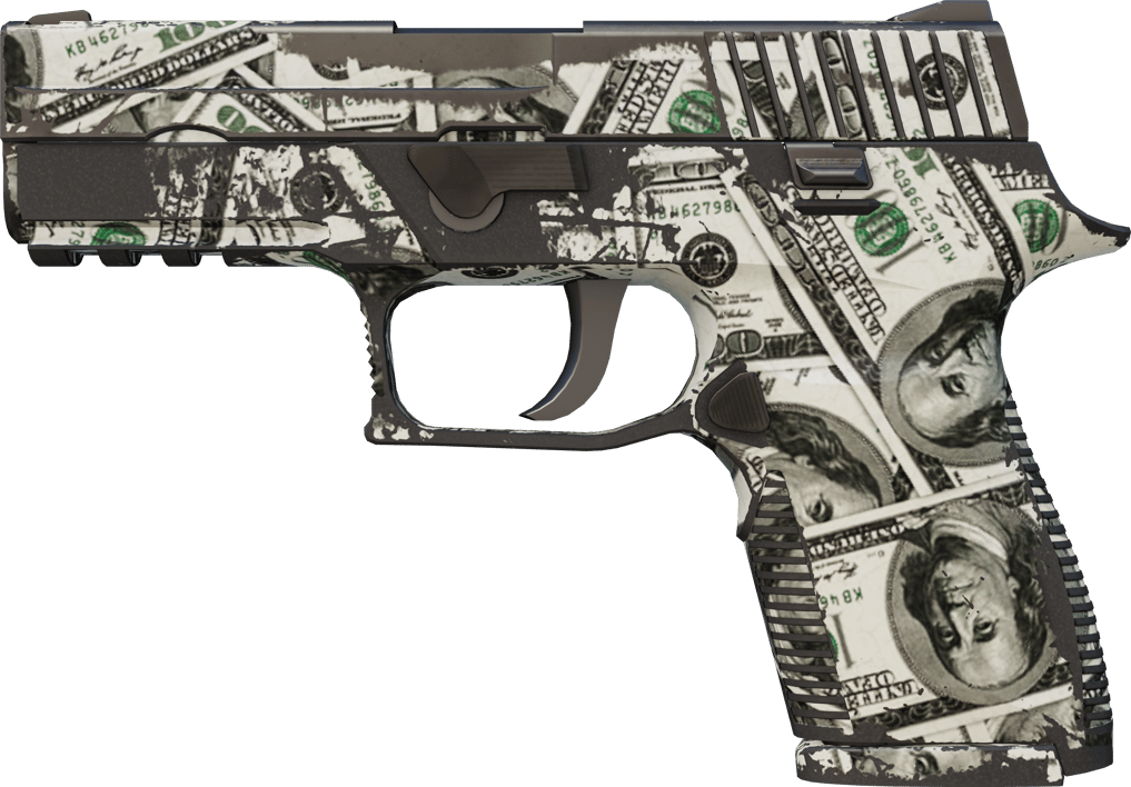 Preview image 1 of P250 | Franklin (มีรอยถลอกอย่างมาก)