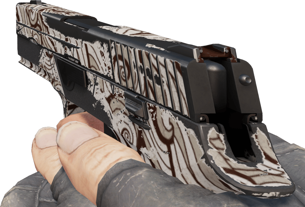 Preview image 3 of P250 | Gunsmoke (Consumato)