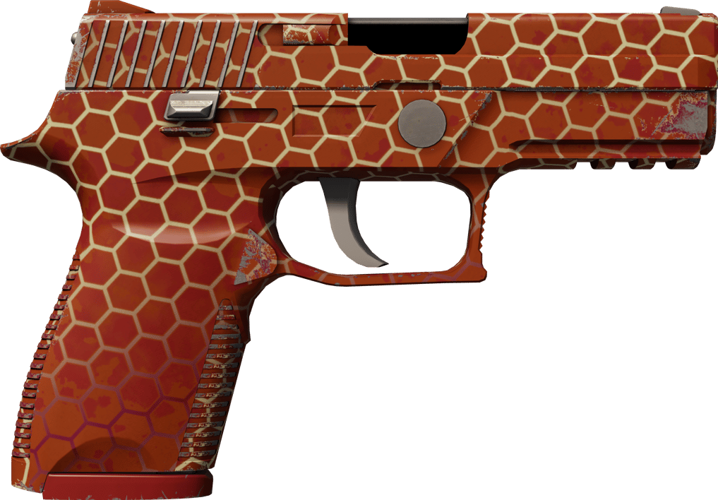 Preview image 2 of P250 | Kovan (Az Aşınmış)