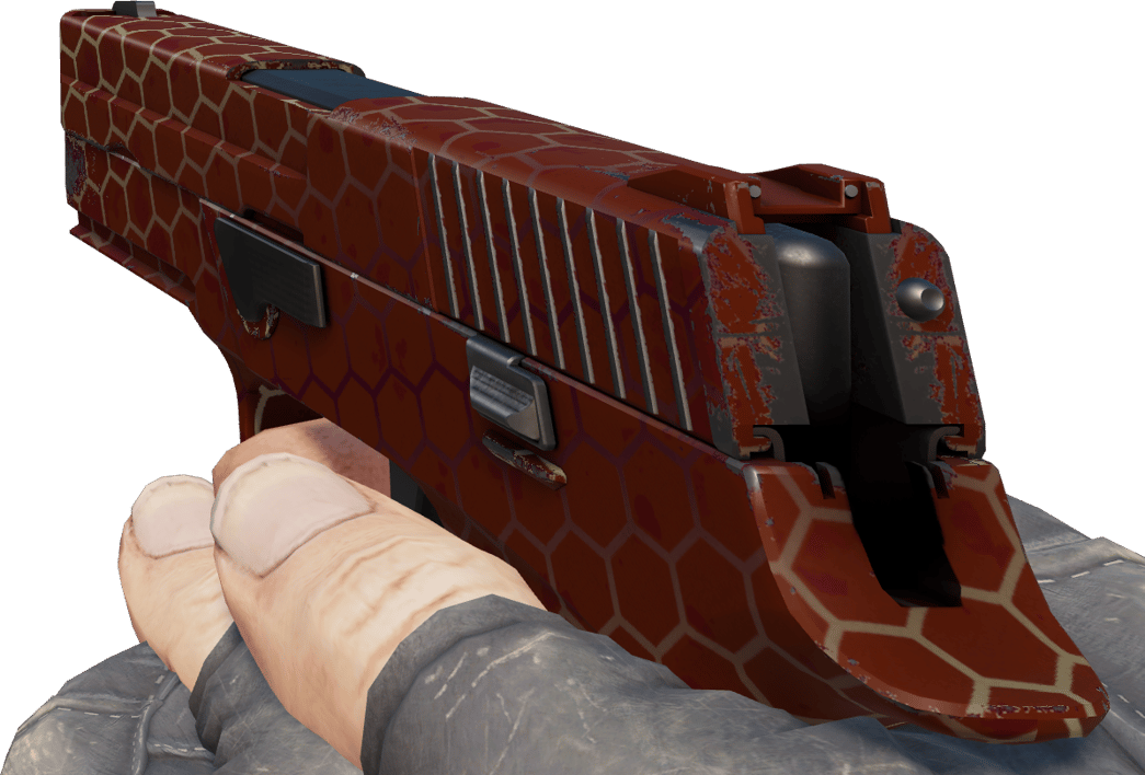 Preview image 3 of P250 | Kovan (Az Aşınmış)