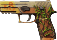 P250 | Inferno image