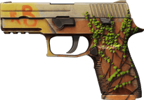 P250 | Inferno