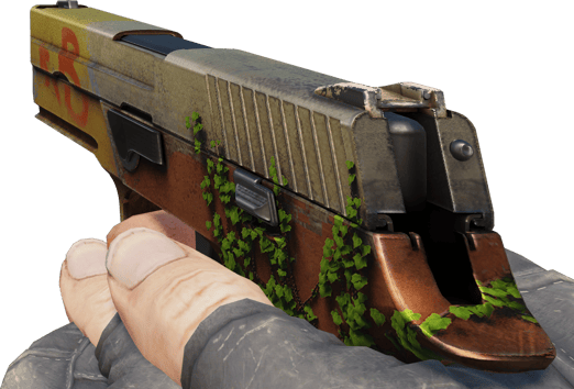 Preview image 3 of P250 | 煉獄 Inferno (戰場實測)