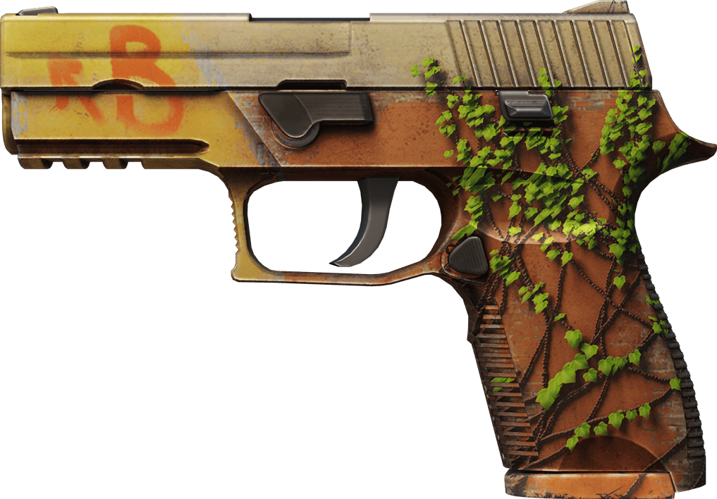 Preview image 1 of P250 | 煉獄 Inferno (輕微磨損)