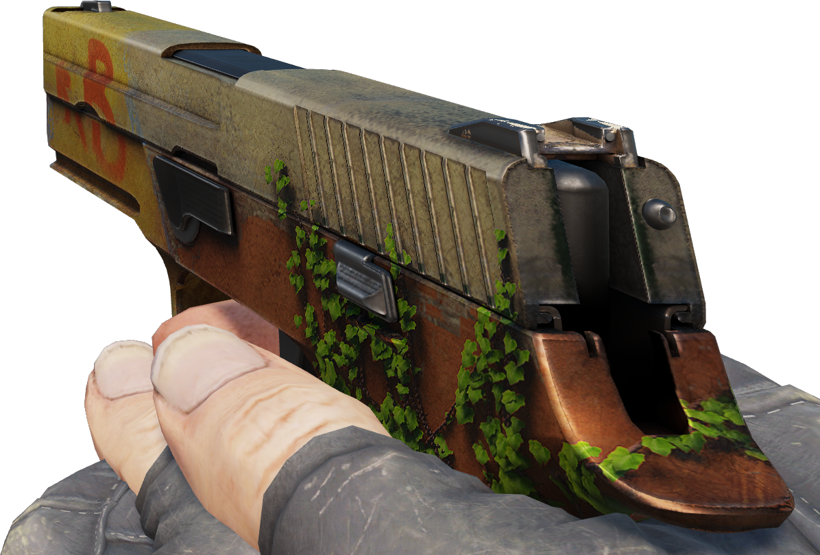 Preview image 3 of P250 | Inferno (Usée)