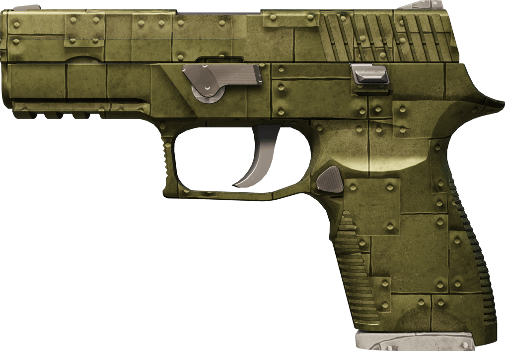 Preview image 1 of P250 | Iron Clad (Com Muito Uso)