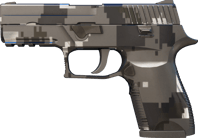 P250 | Metallic DDPAT image
