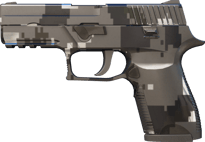 P250 | Metallic DDPAT