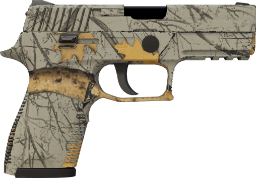 Preview image 2 of P250 | Modern Hunter (MW - Trầy ít)