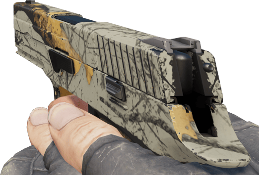 Preview image 3 of P250 | Modern Hunter (MW - Trầy ít)