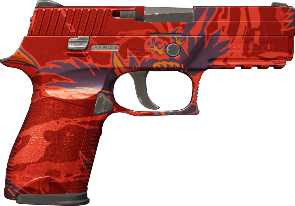 Preview image 2 of P250 | 影魔 (略有磨损)