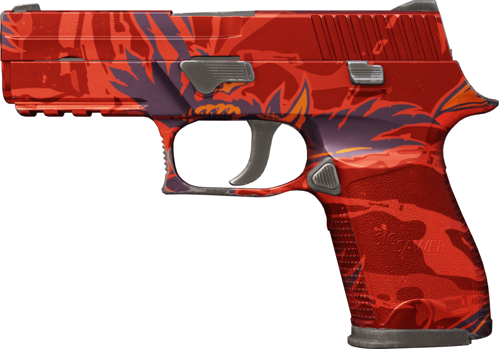 Preview image 1 of P250 | 影魔 (略有磨损)