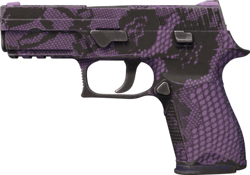 P250 | 绛络 (久经沙场)