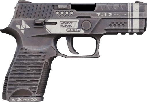 Preview image 2 of P250 | Re.Construido (Recién fabricado)