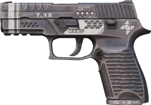 P250 | Re.Construido (Casi nuevo)