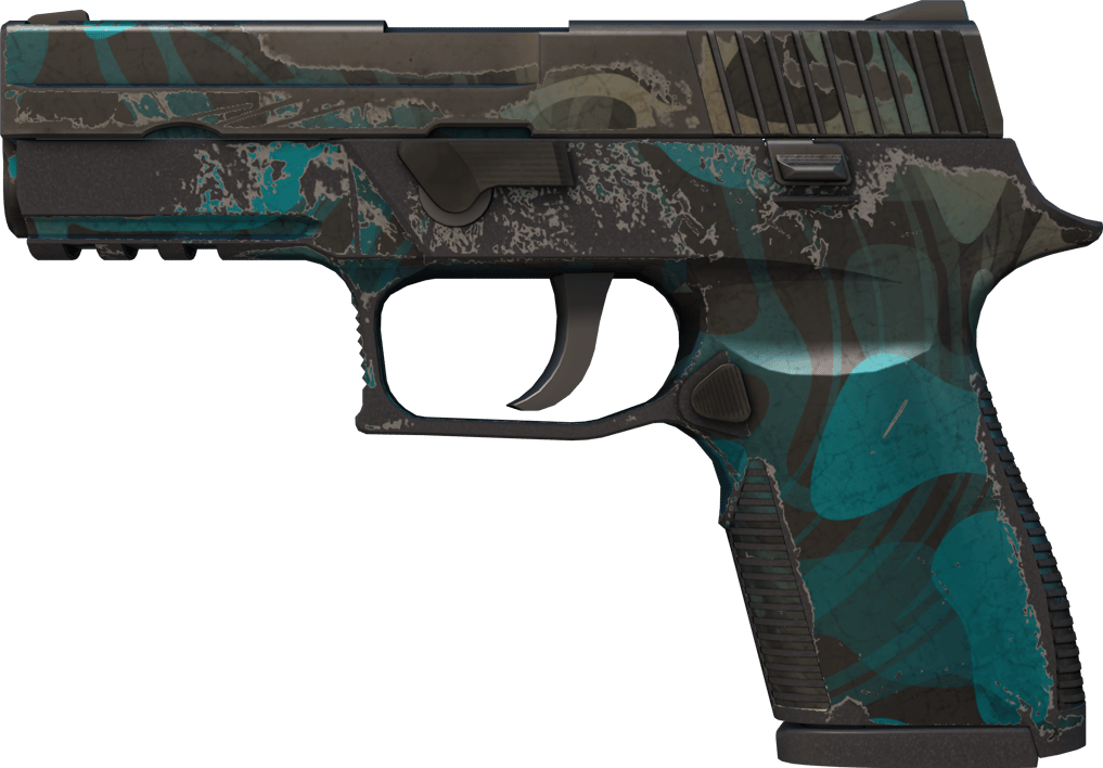 Preview image 1 of P250 | Ripple (Gasto)