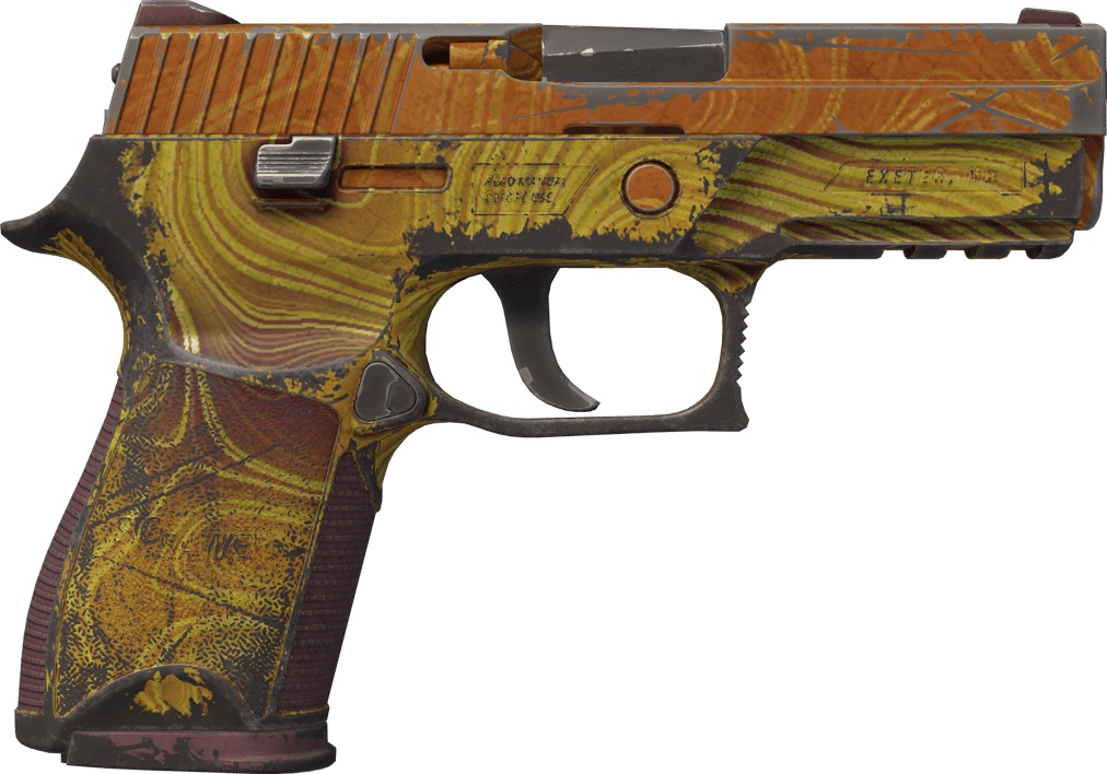 Preview image 2 of P250 | Sedimentary (Gasto)