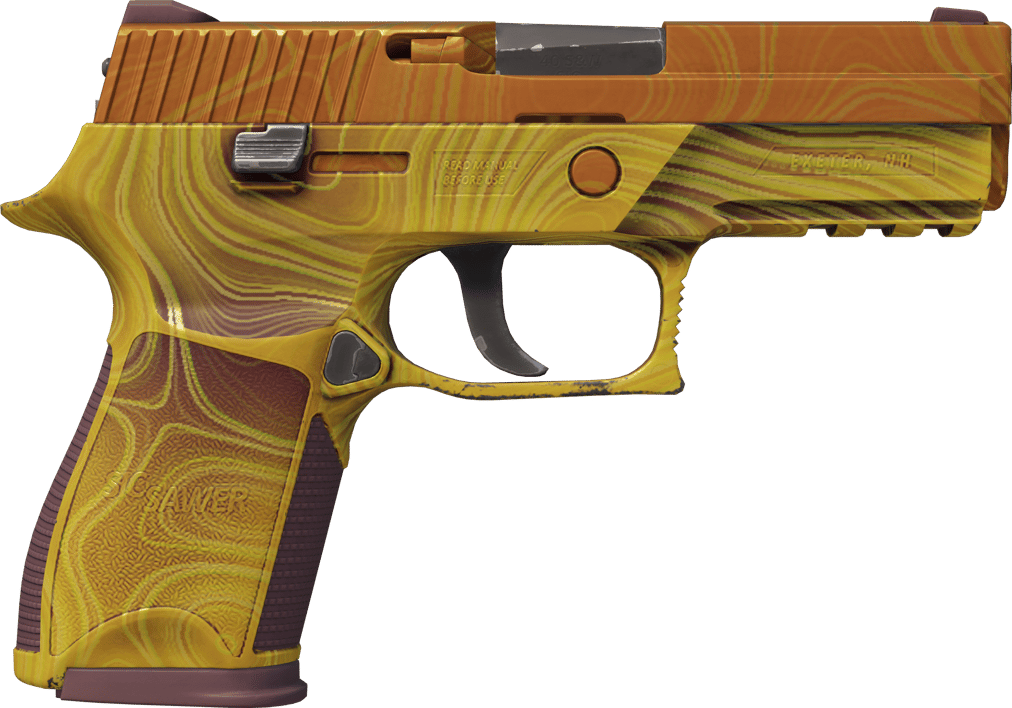 Preview image 2 of P250 | Tortul (Fabrikadan Yeni Çıkmış)