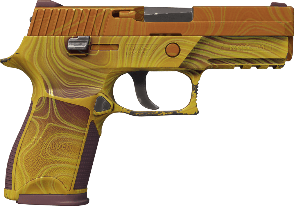 Preview image 2 of P250 | Osadowy (lekkie zużycie)