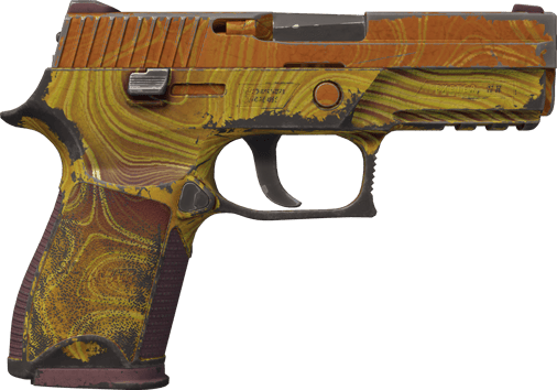 Preview image 2 of P250 | Tortul (Eskimiş)