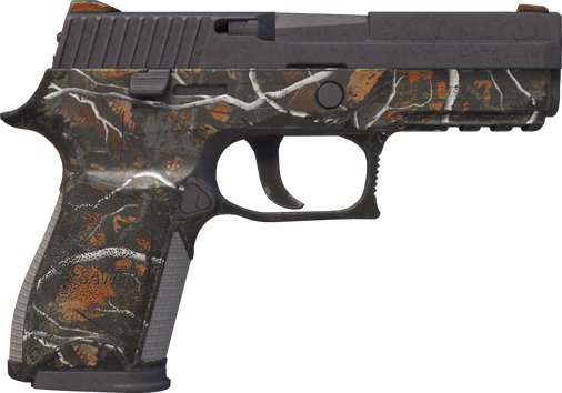 Preview image 2 of P250 | Small Game (Gasto)