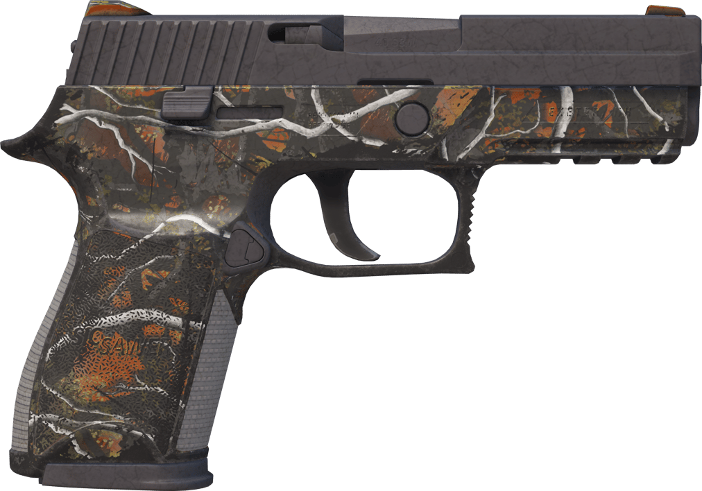 Preview image 2 of P250 | Small Game (Gasto)