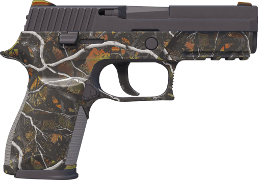 Preview image 2 of P250 | 随便玩玩 (崭新出厂)