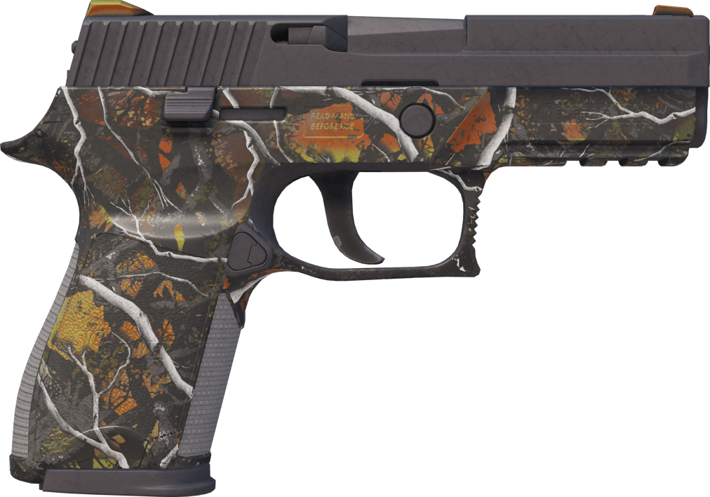 Preview image 2 of P250 | 스몰 게임 (현장에서 쓰인)