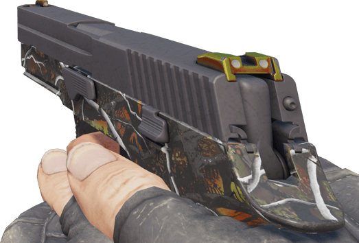 Preview image 3 of P250 | Petit gibier (Testée sur le terrain)