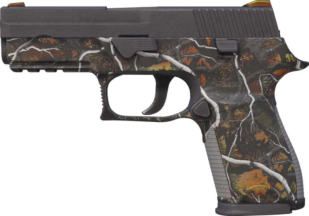 Preview image 1 of P250 | 스몰 게임 (현장에서 쓰인)