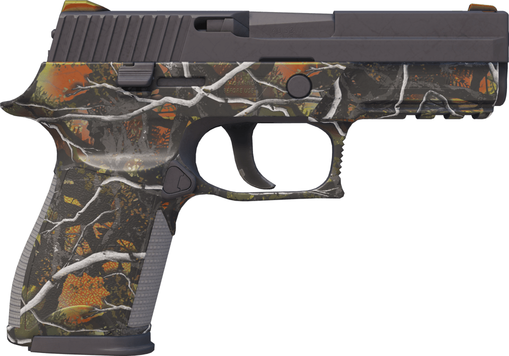 Preview image 2 of P250 | 스몰 게임 (거의 깨끗한)