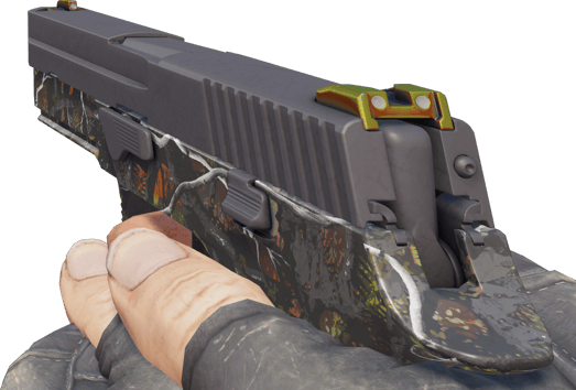 Preview image 3 of P250 | Petit gibier (Très peu usée)