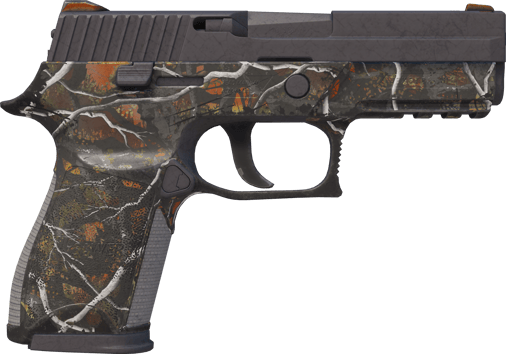 Preview image 2 of P250 | Petit gibier (Usée)