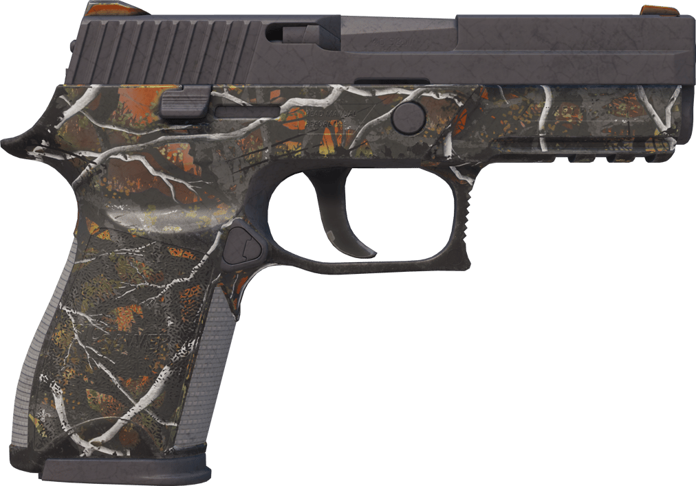 Preview image 2 of P250 | Caza menor (Bastante desgastado)