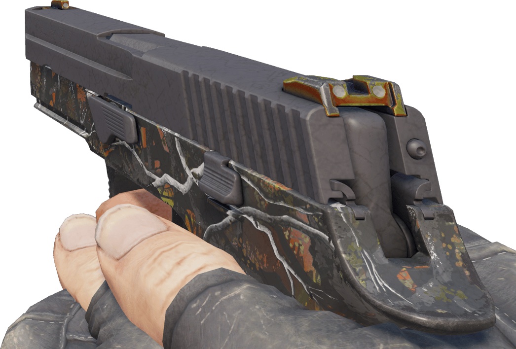 Preview image 3 of P250 | Caza menor (Bastante desgastado)