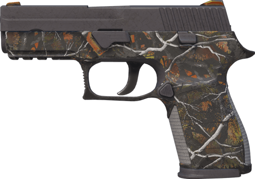 P250 | Petit gibier (Usée)