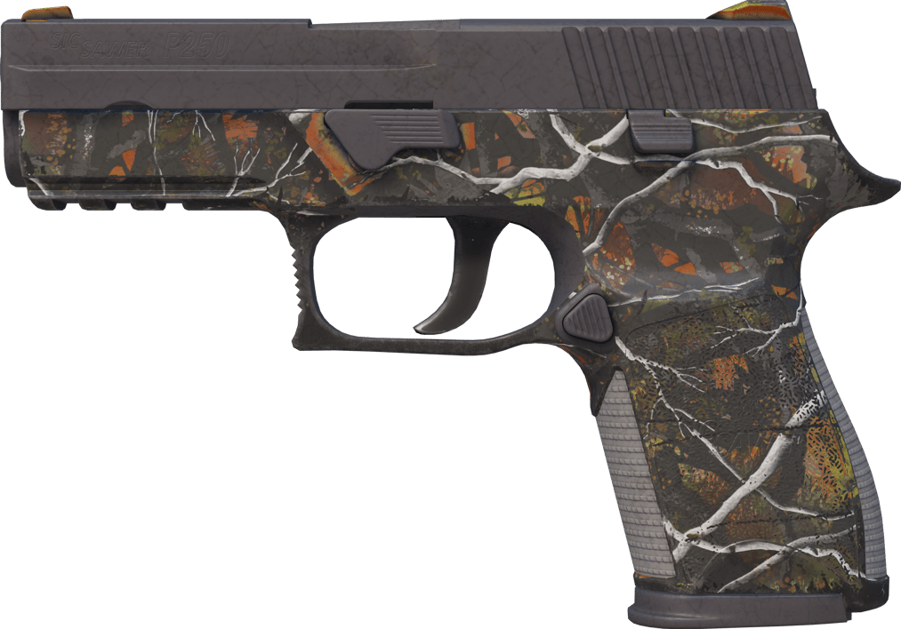 Preview image 1 of P250 | Caza menor (Bastante desgastado)