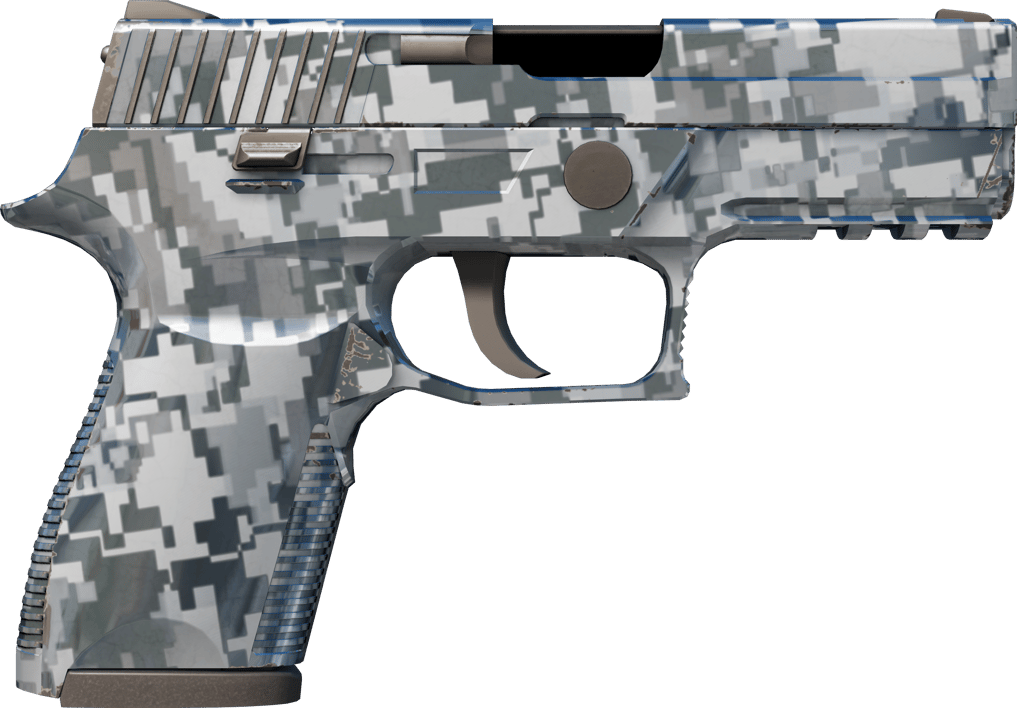 Preview image 2 of P250 | Steel Disruption (Minimal Wear)