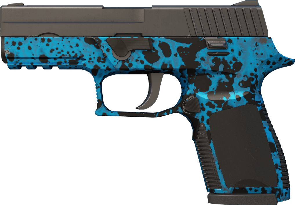 Preview image 1 of P250 | Resaca (Recién fabricado)