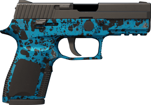 Preview image 2 of P250 | Sog (Minimale Gebrauchsspuren)