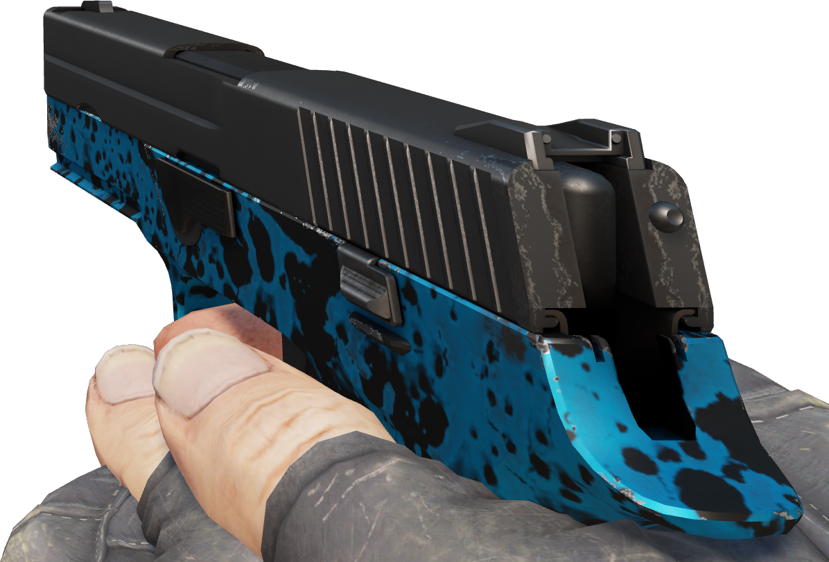 Preview image 4 of P250 | Contre-courant (Très peu usée)