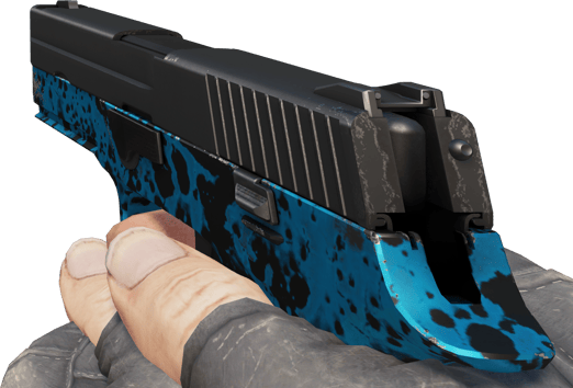 Preview image 3 of P250 | Sog (Minimale Gebrauchsspuren)