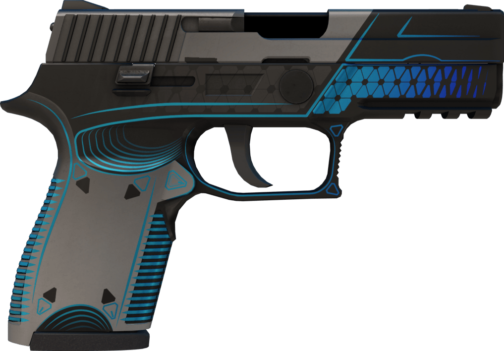 Preview image 2 of P250 | Valence (Usura minima)