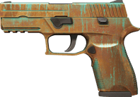 P250 | Verdigris image