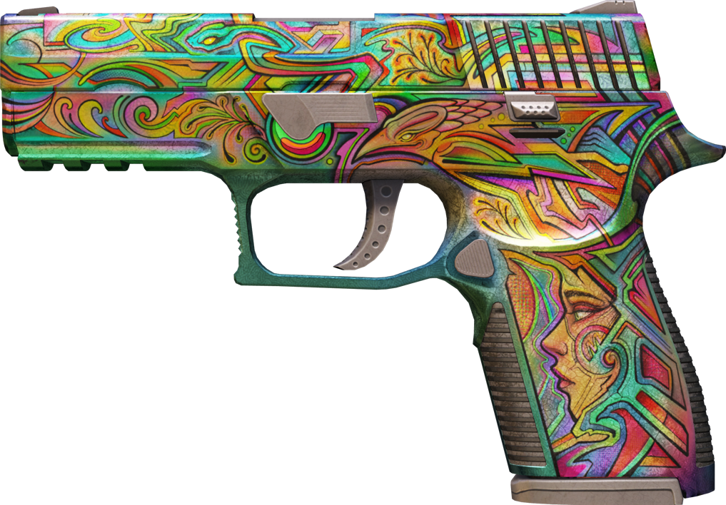 Preview image 1 of P250 | Visions (Battle-Scarred)