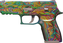 P250 | Visions