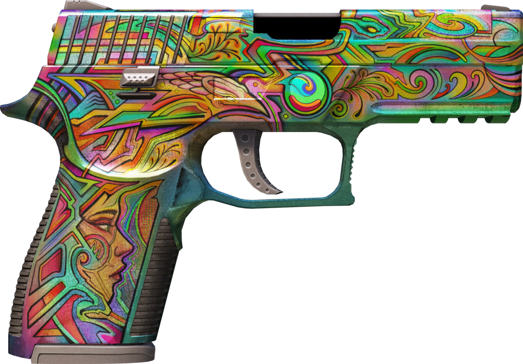 Preview image 2 of P250 | Visions (Well-Worn)