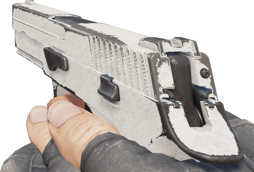 Preview image 3 of P250 | Whiteout (Segnato dalle battaglie)