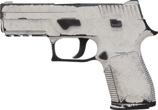 P250 | Whiteout (Segnato dalle battaglie)